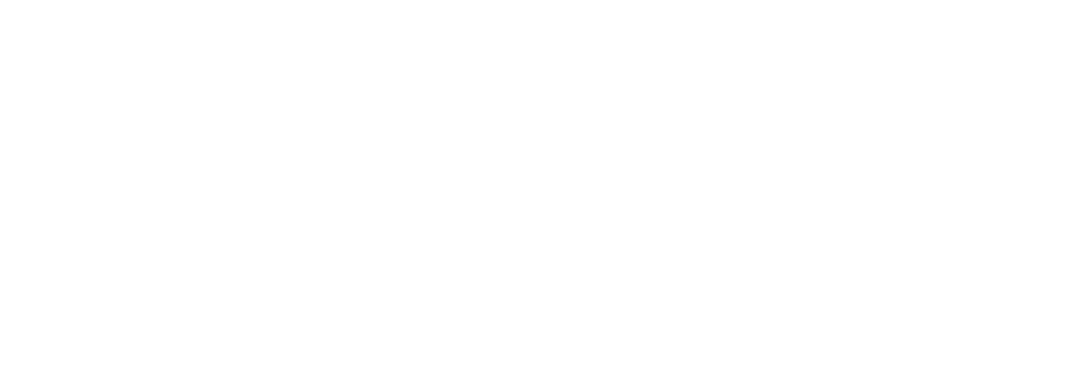 Admiral Insurance Logo