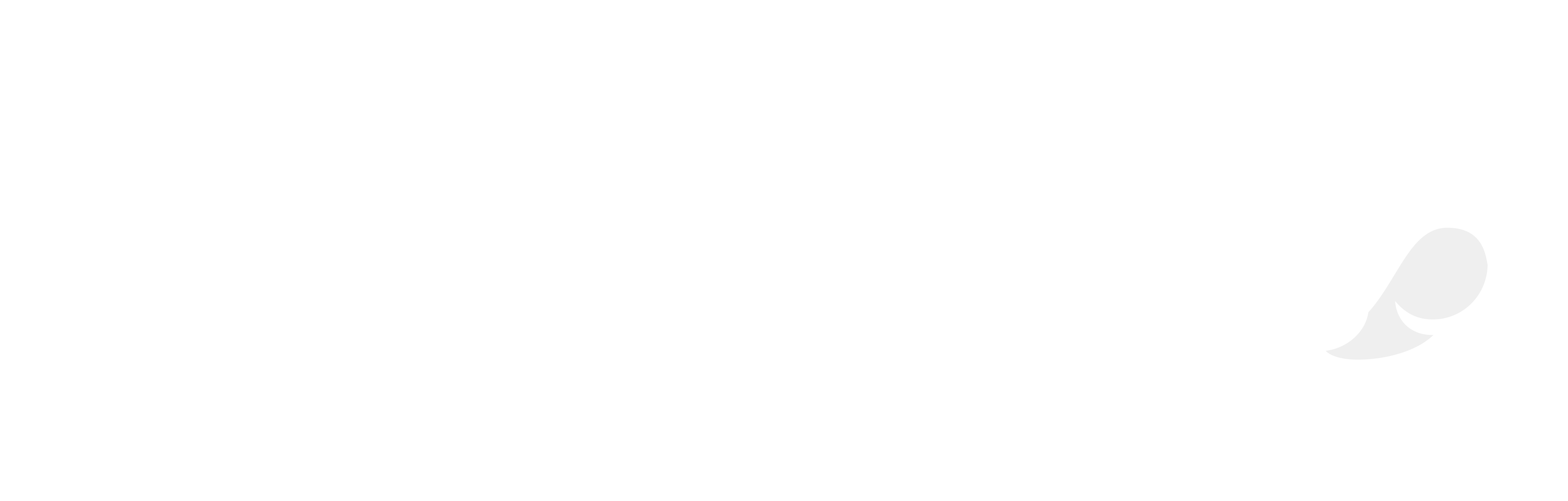 Capgemini Logo