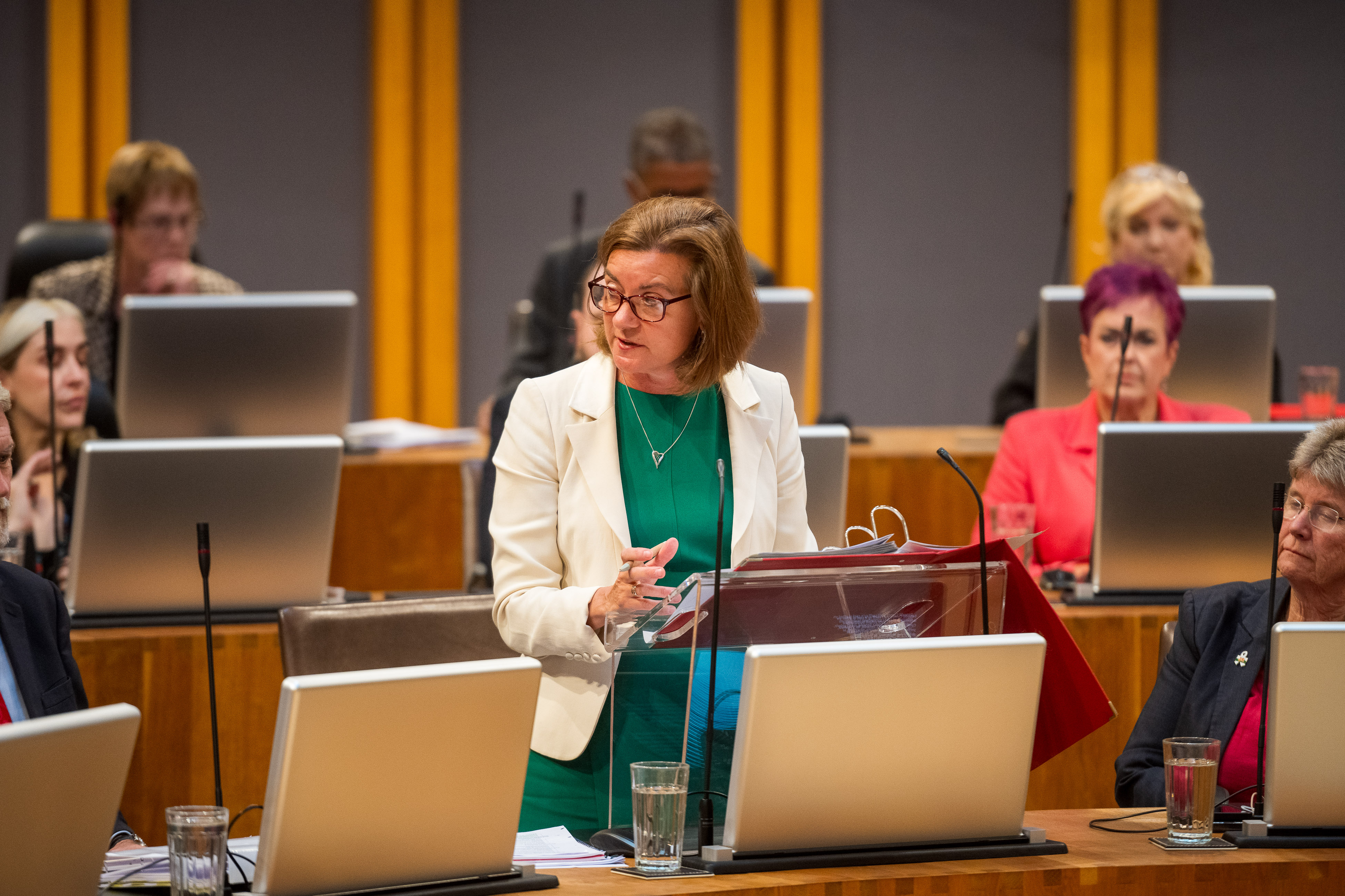 Legislative chamber with rows of desks, microphones and large computer screens. A person wearing a white blazer and green top stands at a lectern in the centre of the room, speaking while holding documents. Several other people are seated at desks in the background. The chamber features wood-panelled furnishings and vertical yellow light panels.