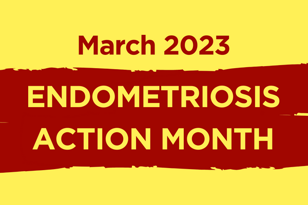 Graphic promoting Endometriosis Action Month. The design features a pale yellow background with a broad red paint-stroke band across the centre. Red text at the top reads “March 2023”, while large yellow text on the red band reads “ENDOMETRIOSIS ACTION MONTH”