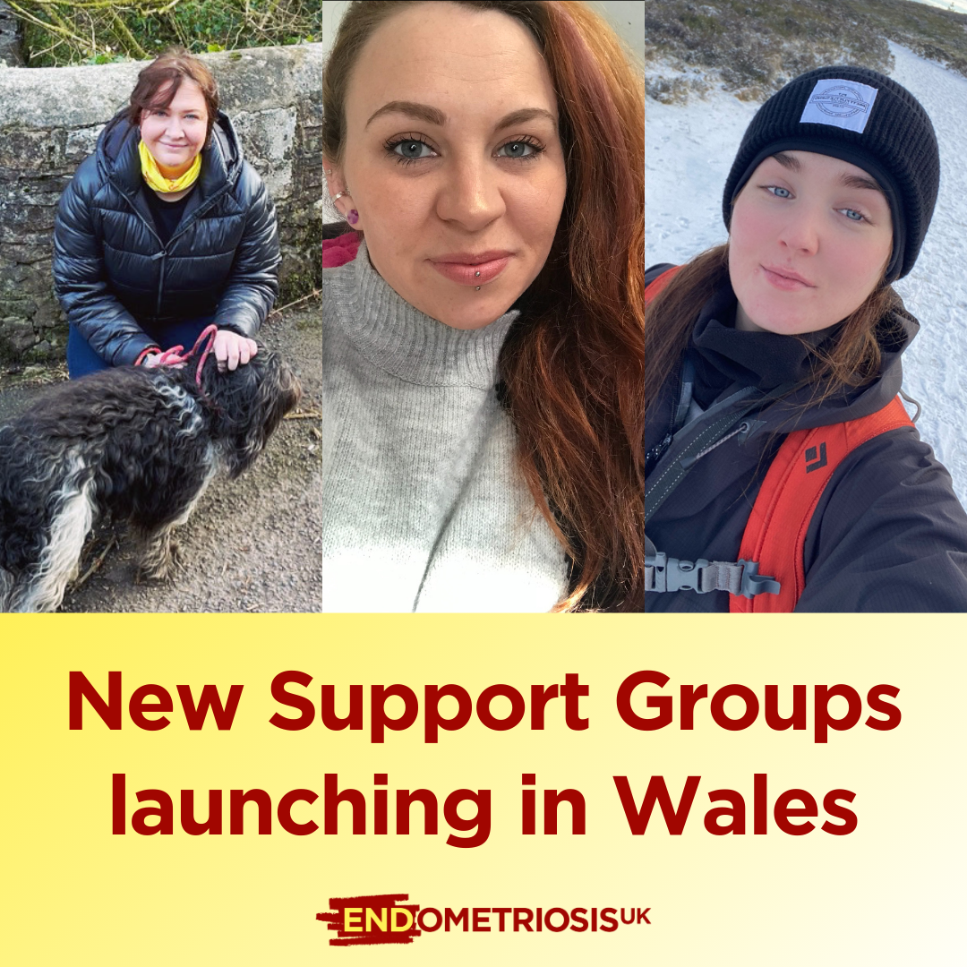 Promotional graphic for Endometriosis UK featuring three portrait photographs across the top. One image shows a person outdoors with a dog, another is a close-up portrait, and the third shows a person in outdoor winter clothing in a snowy landscape. Below the photographs, a pale yellow panel contains large dark red text reading: “New Support Groups launching in Wales