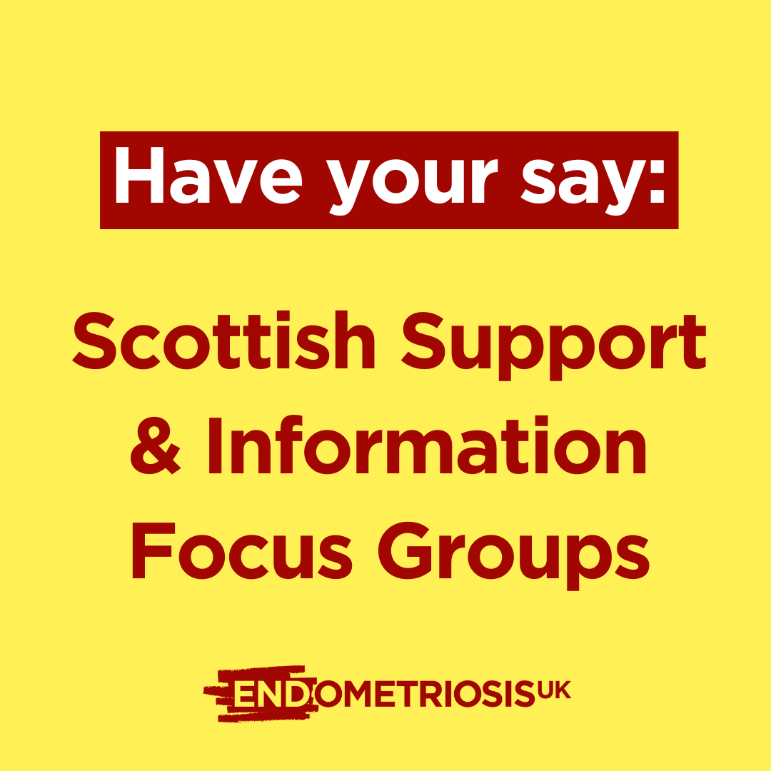 Graphic on a pale yellow background featuring dark red text. A banner at the top reads “Have your say:”, followed by the main message: “Scottish Support & Information Focus Groups”
