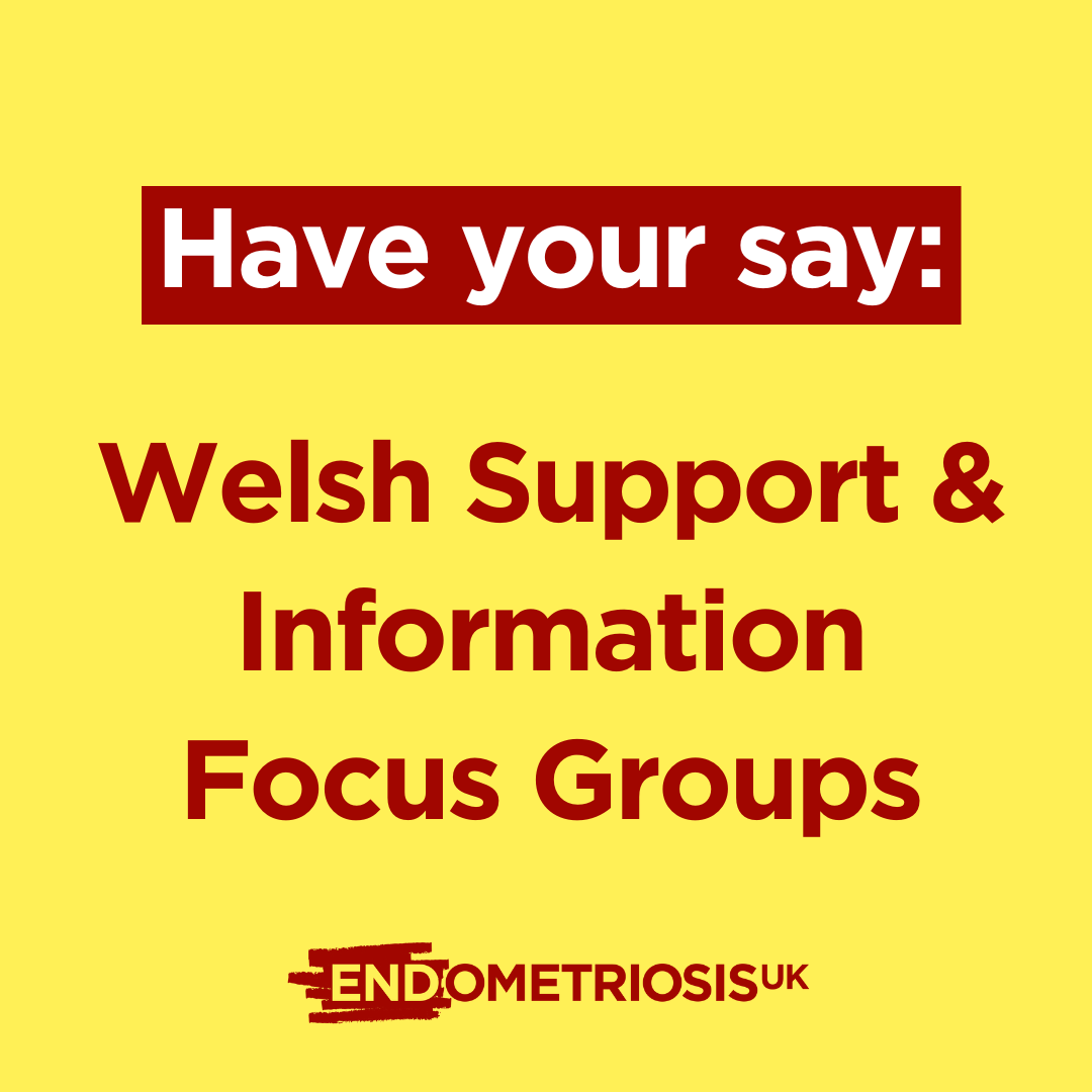 Graphic on a pale yellow background featuring dark red text. A banner at the top reads “Have your say:”, followed by the main message: “Welsh Support & Information Focus Groups”.