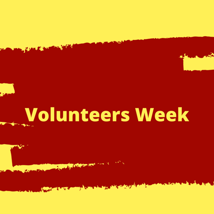 A graphic with bold yellow text reading "Volunteers Week" centered on a dark red, brush-stroke banner shape against a bright yellow background.