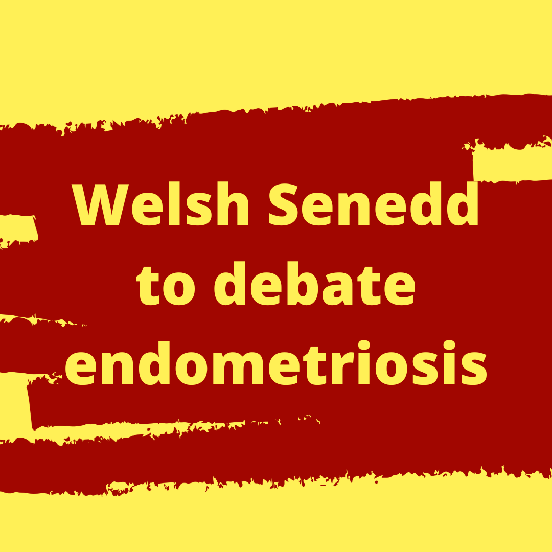 Graphic with a pale yellow background and broad red paint-stroke bands across the centre. Large yellow text reads: “Welsh Senedd to debate endometriosis”