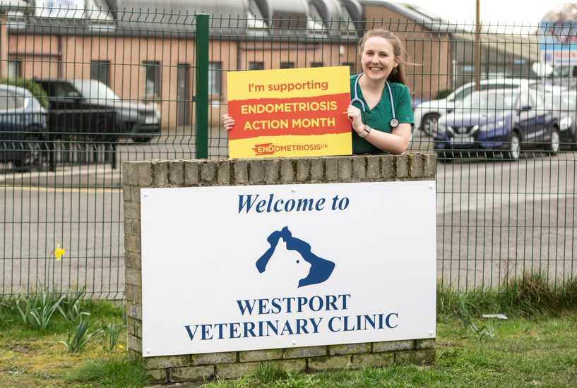 Westport Vets