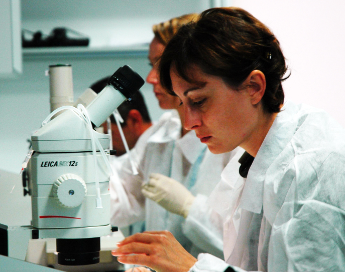 Endometriosis research - photo not owned by Endometriosis UK