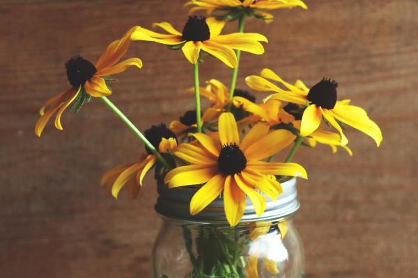 Yellow daisies in a jar