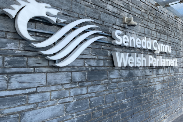 Senedd Photo