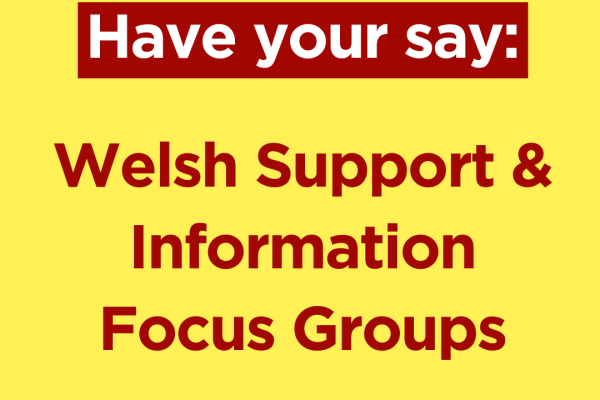 Welsh Support and Information Focus Groups