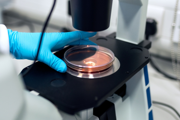 Research activities