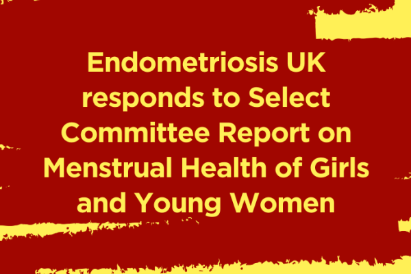 Select Committee report