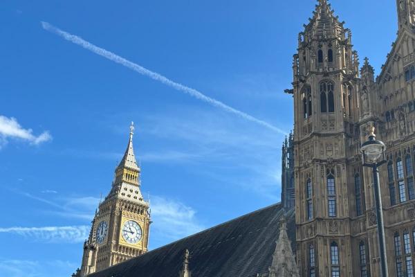 A picture at the Houses of Parliament with a blue sky and the top of Big Ben can be seen in the back