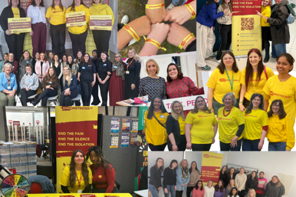 Collage of groups advocating for Endometriosis awareness. Includes people in yellow shirts, linked hands with bands, and informational displays. Energetic and supportive tone.