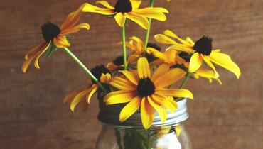 Yellow daisies in a jar