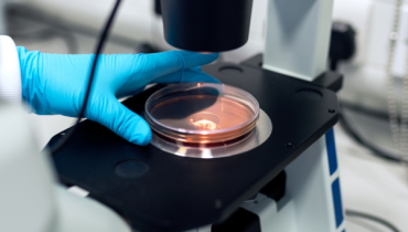 Research activities